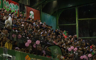 Devenez Socios du Rugby Club Nîmois !